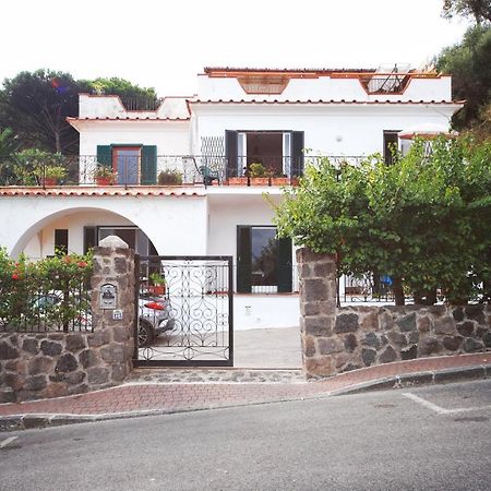 Profumo Di Mare Apartman Ischia Kültér fotó